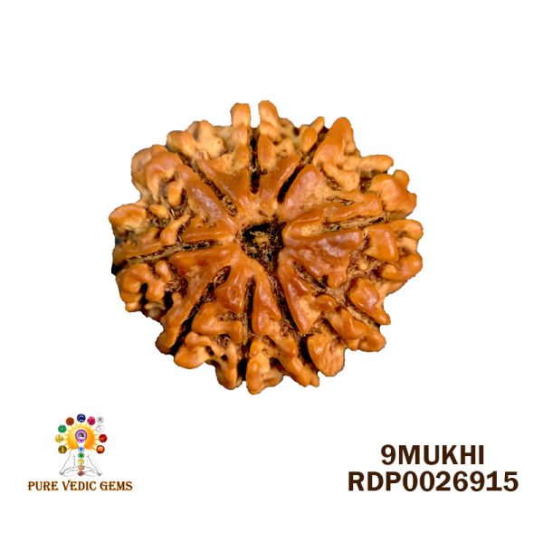 9Mukhi-3.196g-T137