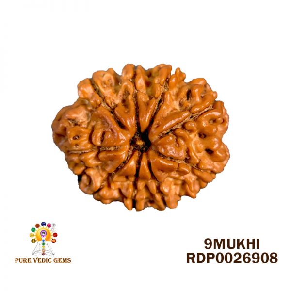 9Mukhi-3.218g-T791
