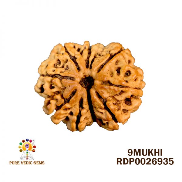 9Mukhi-3.348g-C142
