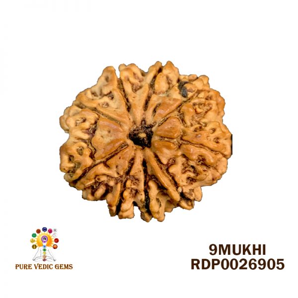 9Mukhi-3.468g-D663