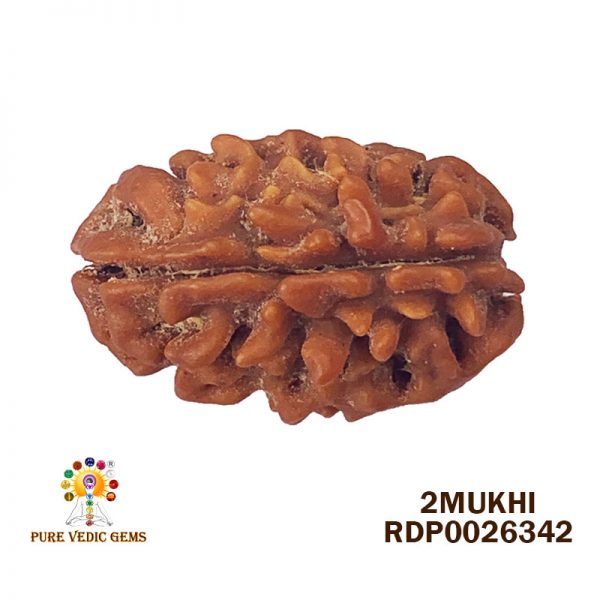 2Mukhi-3.742gm-A253-Rs-1800