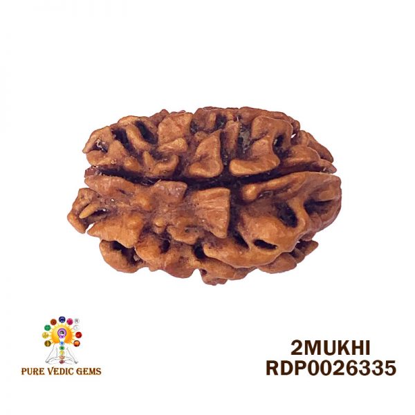 2mukhi-3.100gm-P912-3
