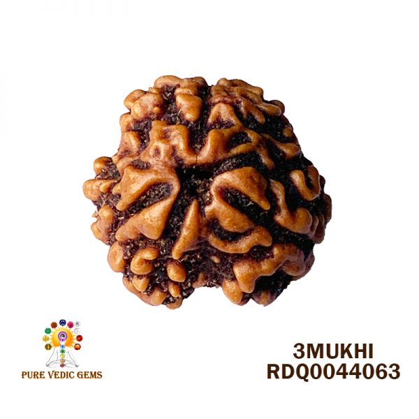 3Mukhi-2.558gm-O781