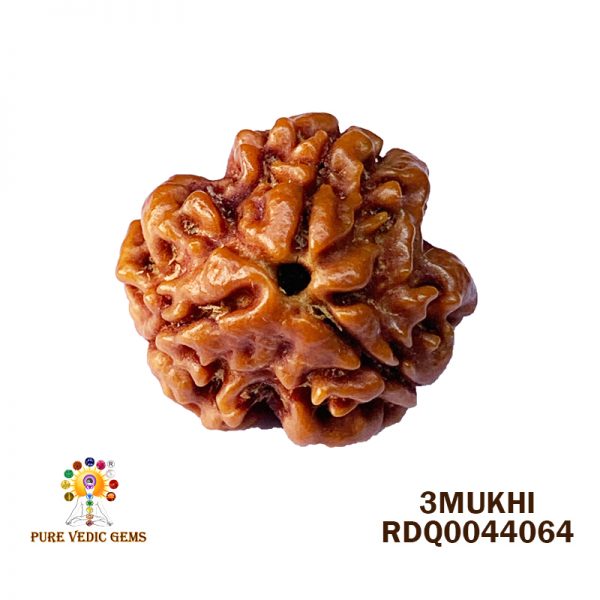 3Mukhi-2.584gm-B948