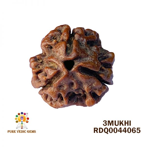 3Mukhi-2.884gm-C646