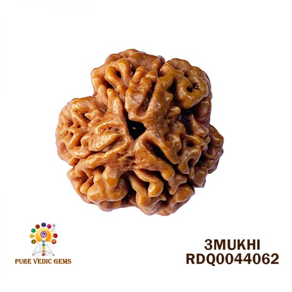3Mukhi-3.850gm-E202