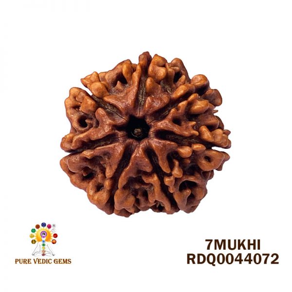 7Mukhi-3.978gm-L139