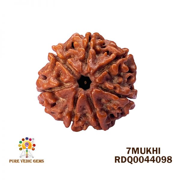 7Mukhi-4.016gm-C894