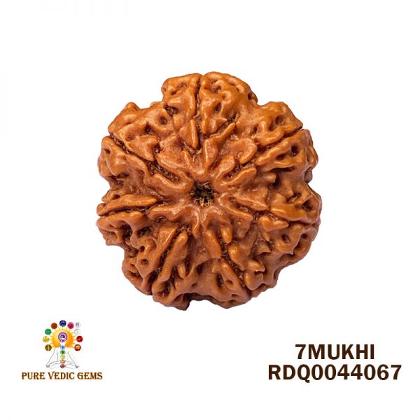 7Mukhi-4.030gm-O097
