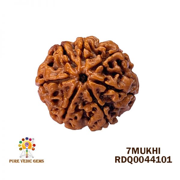 7Mukhi-4.104gm-D700