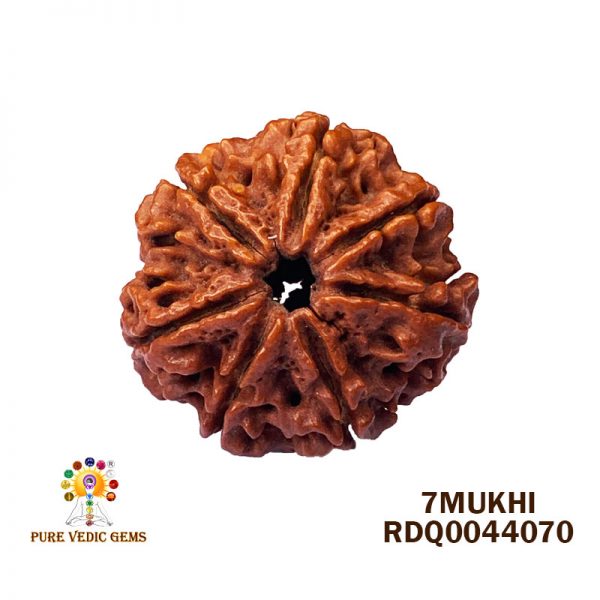 7Mukhi-4.112gm-P313
