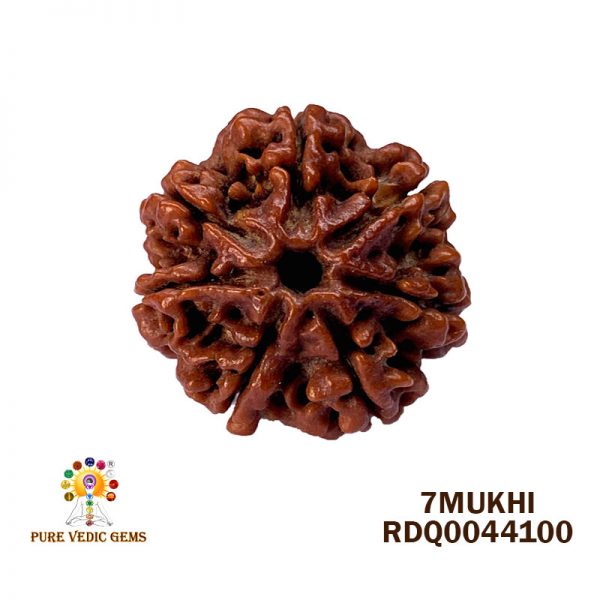7Mukhi-4.130gm-F521
