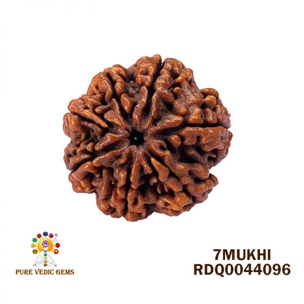 7Mukhi-4.138gm-P502