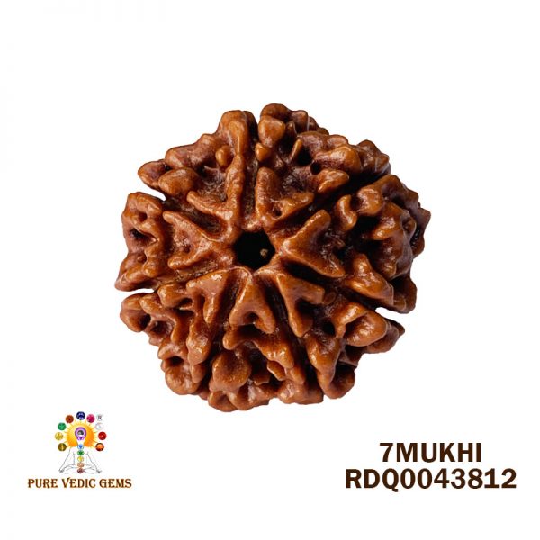 7Mukhi-4.156gm-O376