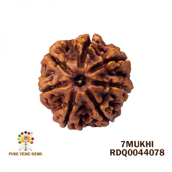 7Mukhi-4.172gm-S675