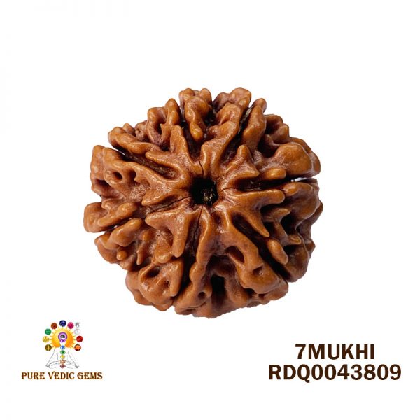 7Mukhi-4.204gm-B379