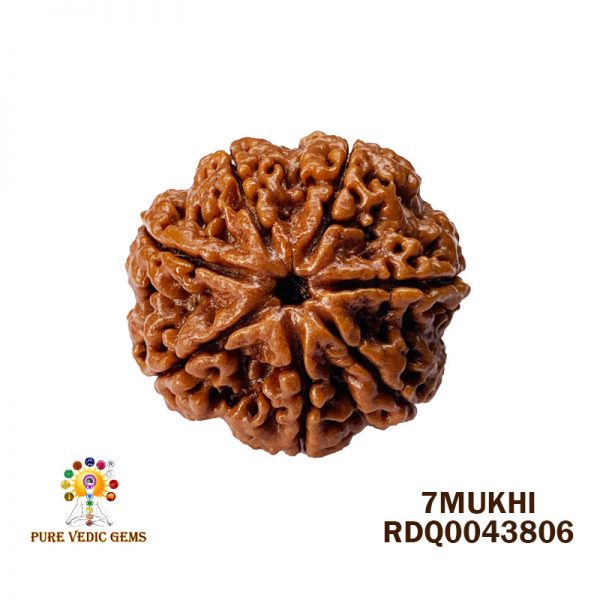 7Mukhi-4.216gm-V841