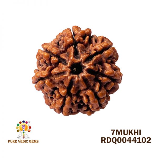 7Mukhi-4.248gm-N596