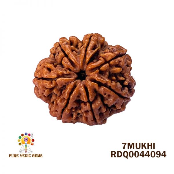 7Mukhi-4.262gm-F362
