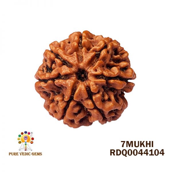 7Mukhi-4.264gm-R733