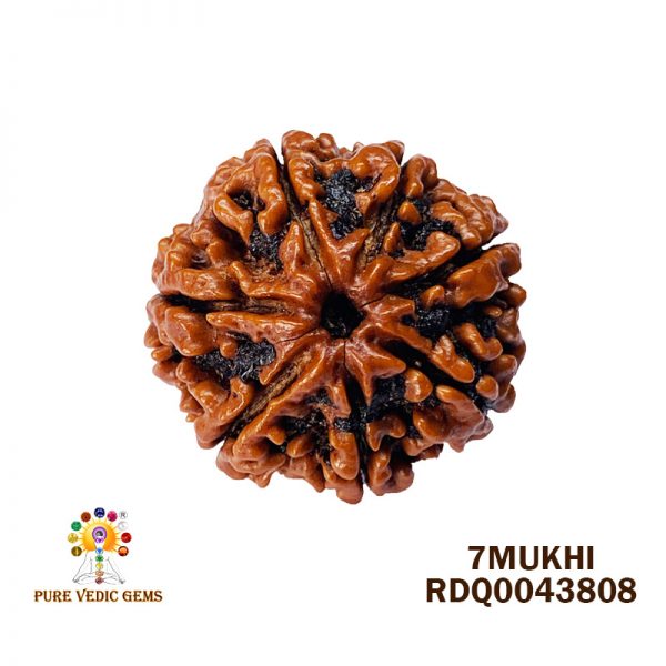 7Mukhi-4.334gm-T028