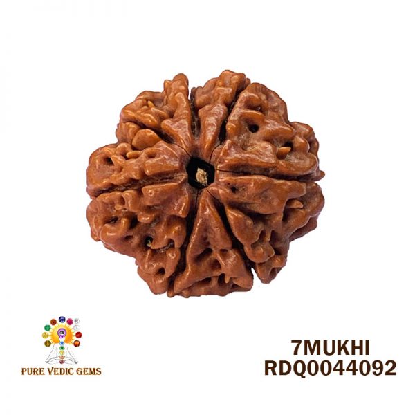 7Mukhi-4.348gm-Z393