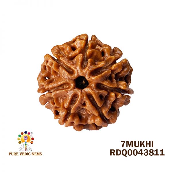 7Mukhi-4.352gm-W022