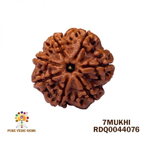 7Mukhi-4.356gm-I737