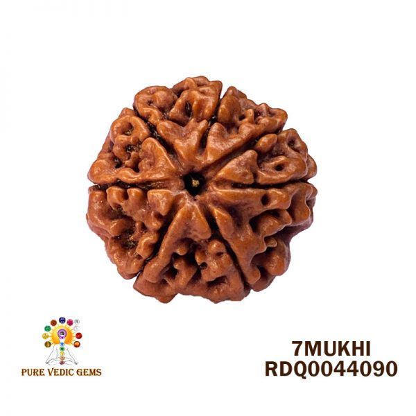 7Mukhi-4.368gm-H562