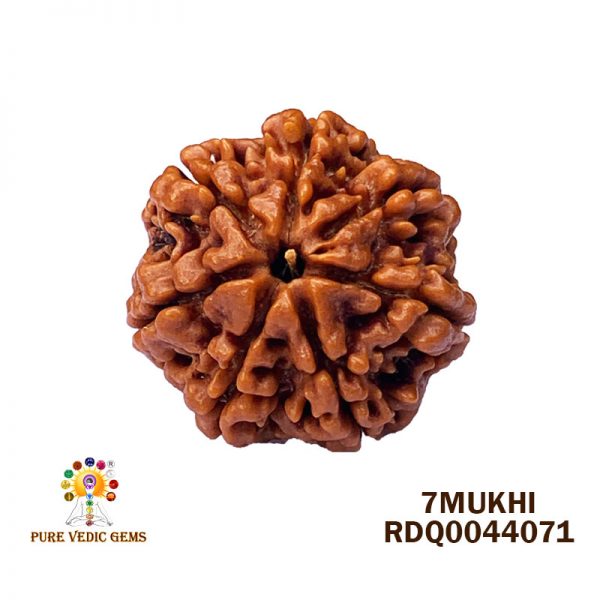 7Mukhi-4.404gm-O898