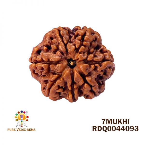 7Mukhi-4.426gm-J343