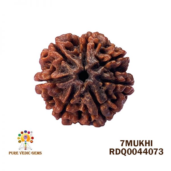 7Mukhi-4.432gm-V572