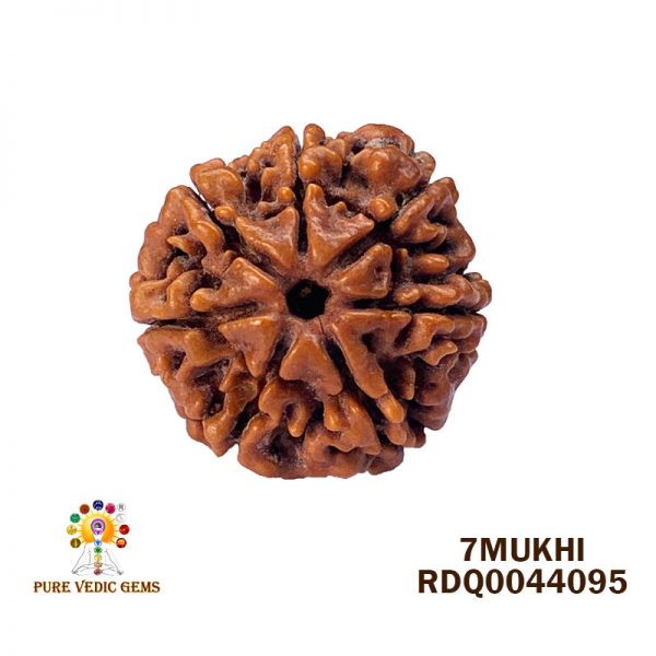 7Mukhi-4.468gm-G905