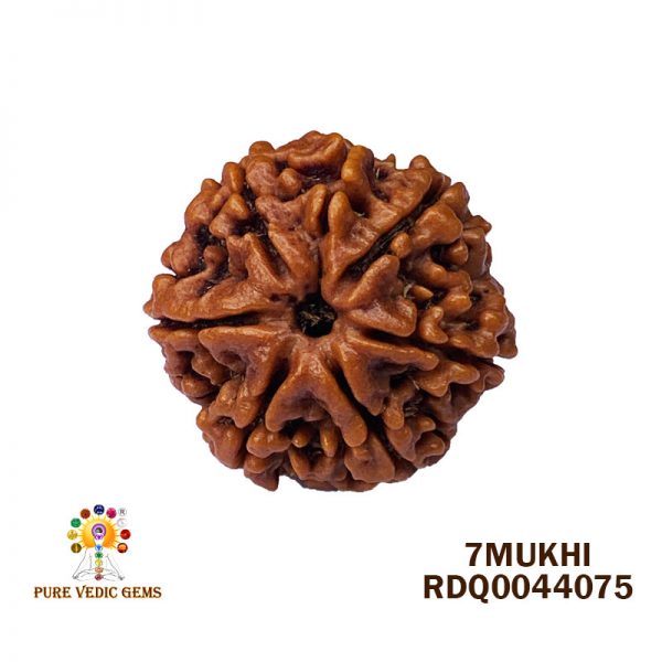 7Mukhi-4.504gm-A026