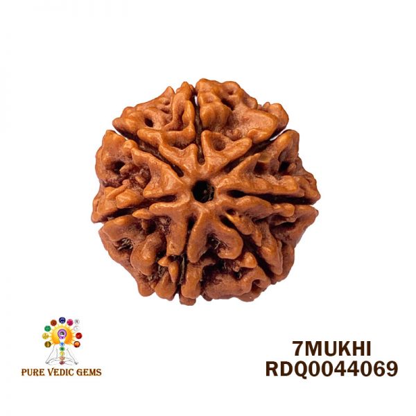 7Mukhi-4.518gm-W617