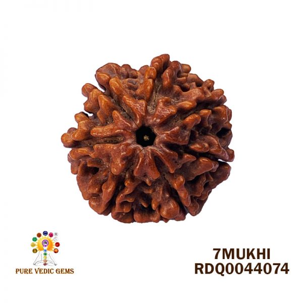 7Mukhi-4.764gm-U795