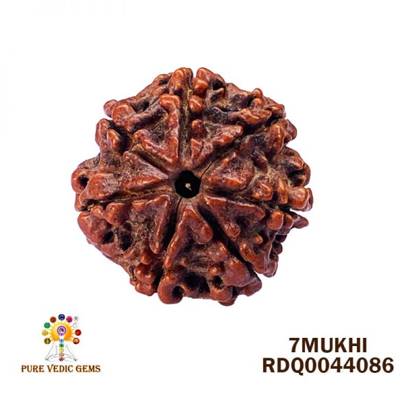 7mukhi-3.892gm-D929