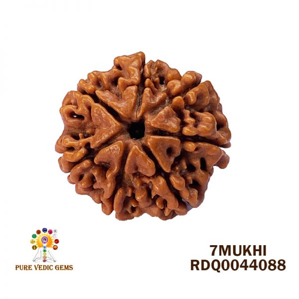7mukhi-4.036gm-G926