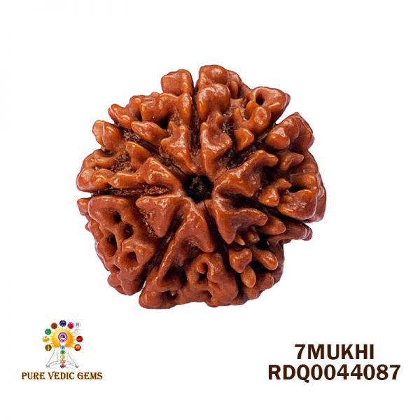 7mukhi-4.094gm-S287