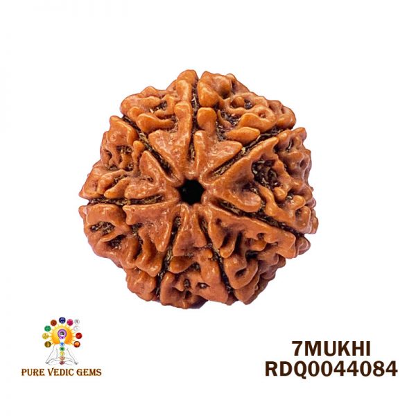 7mukhi-4.152gm-W681