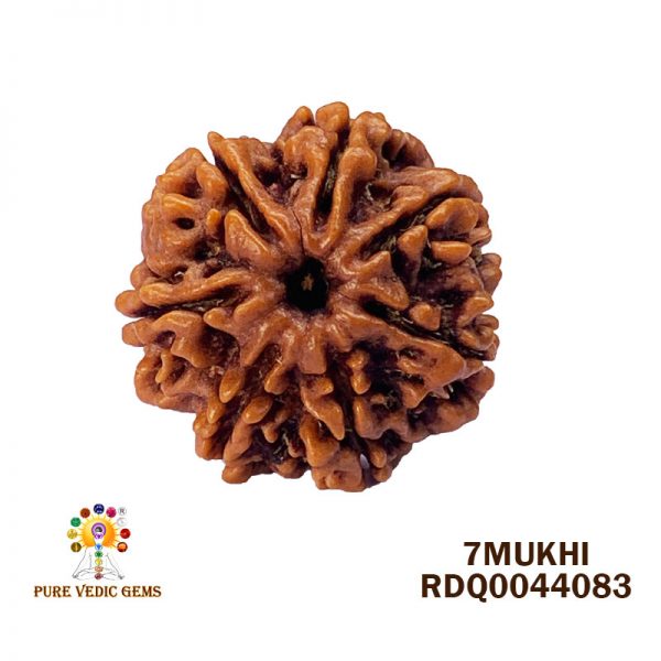7mukhi-4.172gm-K830