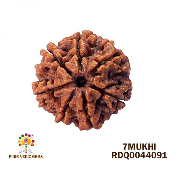 7mukhi-4.240gm-Q011