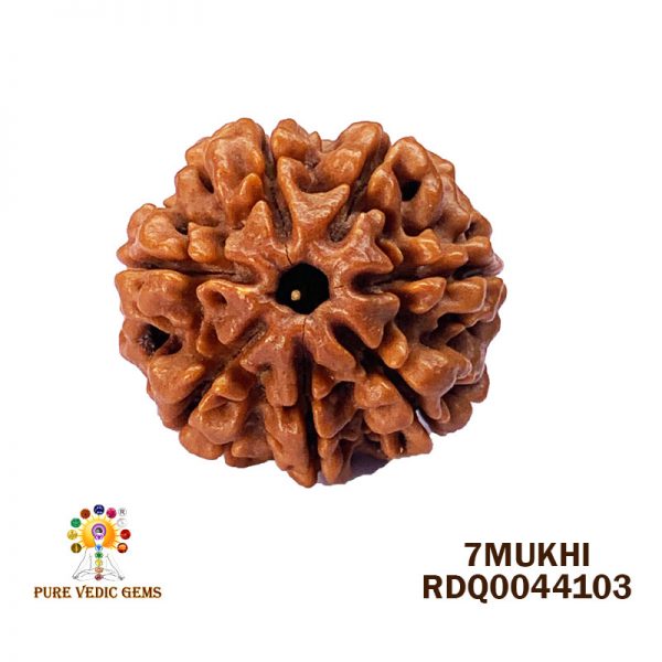 7mukhi-4.344gm-D004