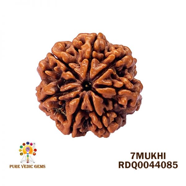 7mukhi-4.392gm-A477
